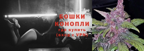 стафф Каменка
