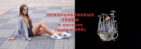 стафф Каменка