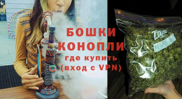 стафф Каменка