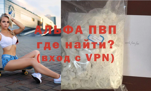 стафф Каменка