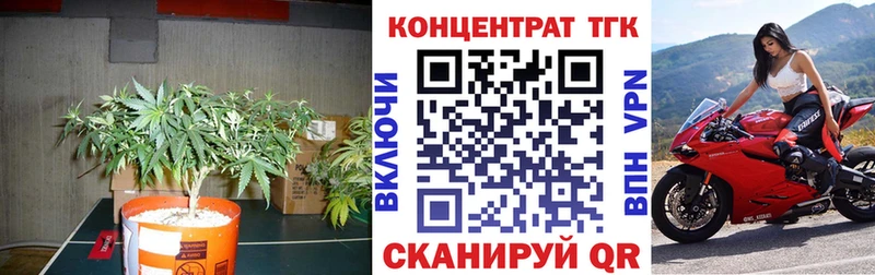 Дистиллят ТГК гашишное масло  Купить где  Буинск 