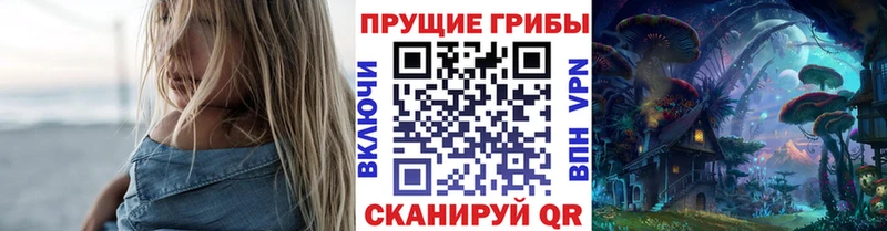 Купить закладки  Буинск  Псилоцибиновые грибы мицелий 